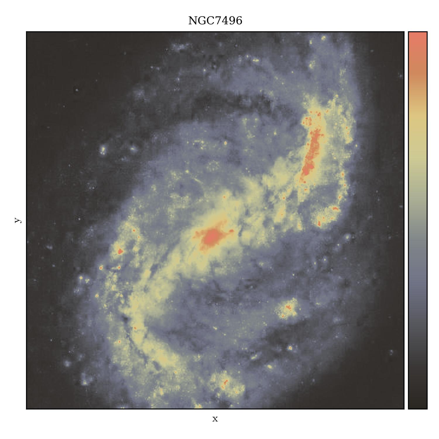 NGC7496 | animals